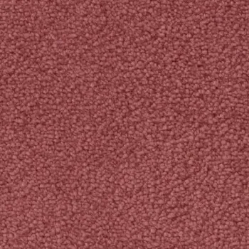 Preview: Draufsicht auf Vorwerk Mira 1P99